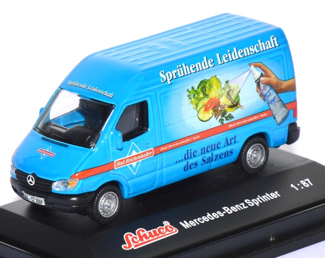 Mercedes-​​​Benz Sprinter Kasten Hochdach Bad Rechenhaller Salz