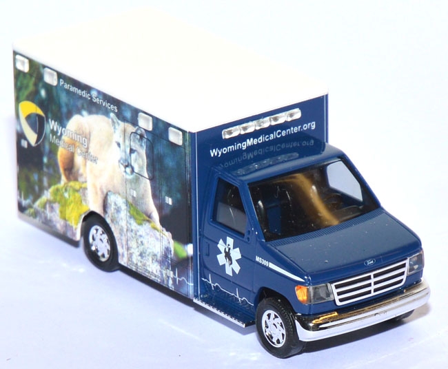 Ford E-350 Ambulance Wyoming Mountain Lion 41849